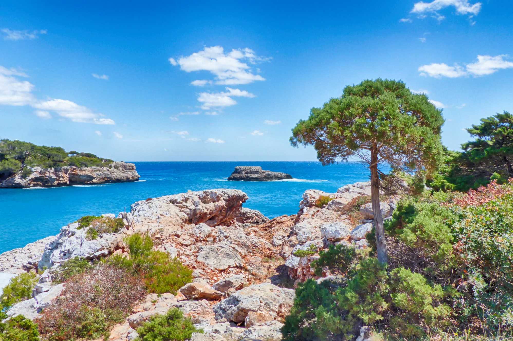 Cala D'or